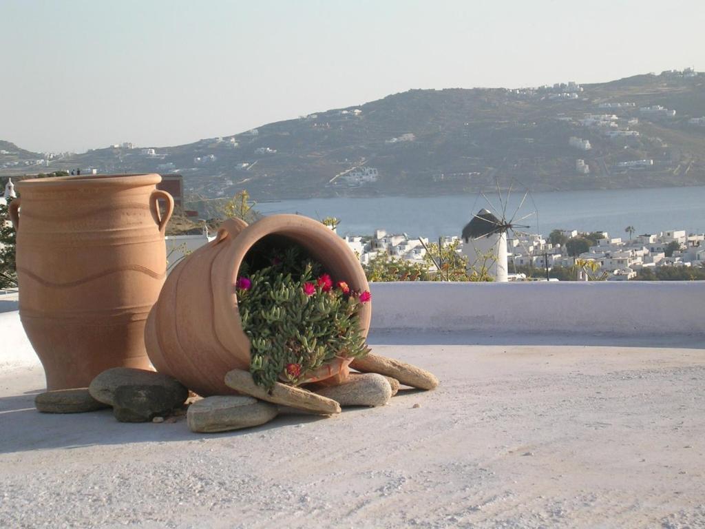 La Veranda Of Mykonos Traditional Guesthouse Mykonos Town Esterno foto